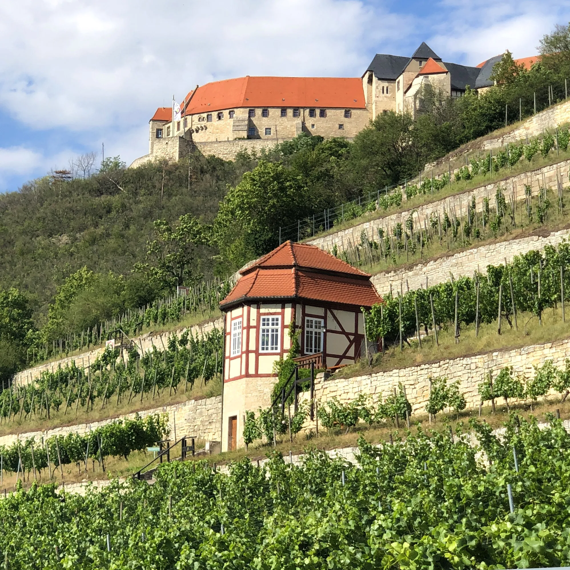 Weinprobe mit Saale-Unstrut-Weinen