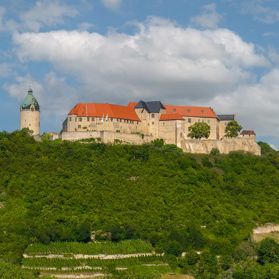 Blick von der Neuenburg über Freyburg und die Unstrut