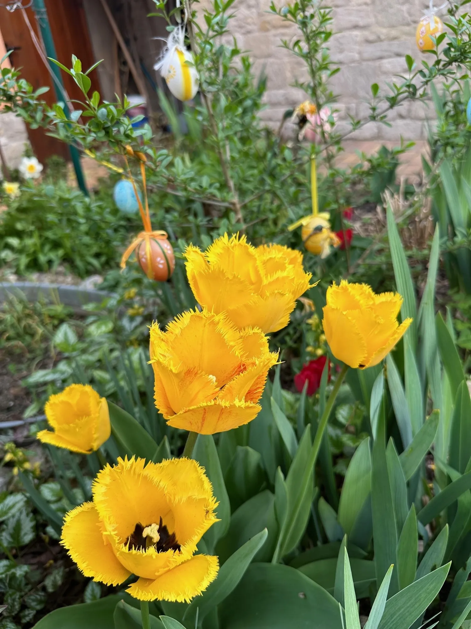 Frühling in den Weinbergen bei Freyburg