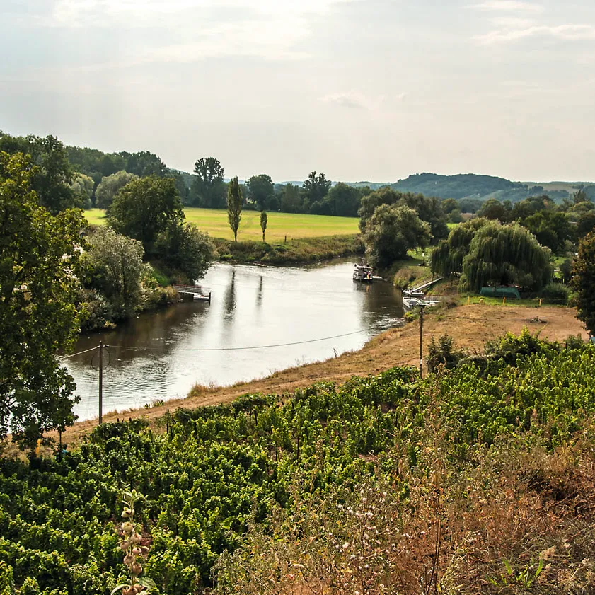 Blütengrund an der Mündung der Unstrut in die Saale