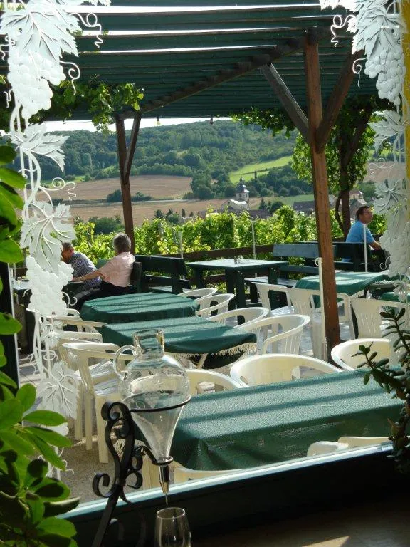 Blick aus dem Gästehaus in die Weinberge
